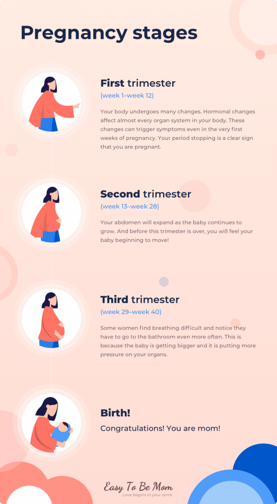 1st 2nd And 3rd Trimester Chart