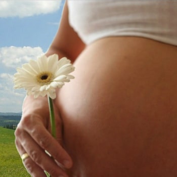 Pregnancy Calendar app logo