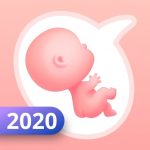 Week by Week Pregnancy 2020 Timer