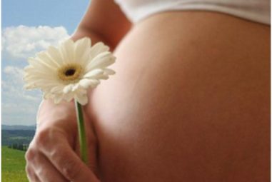 Pregnancy Calendar — Learn How does Your Baby Develop
