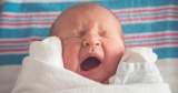 Best Baby Wipe Dispenser in 2024: Keep Your Wipes Moist for Longer